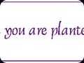 G0268_Bloom where you are planted - crocus copy