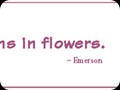 G0441_Earth laughs in flowers - peony copy