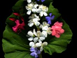 2012-18 bouquet of beauties